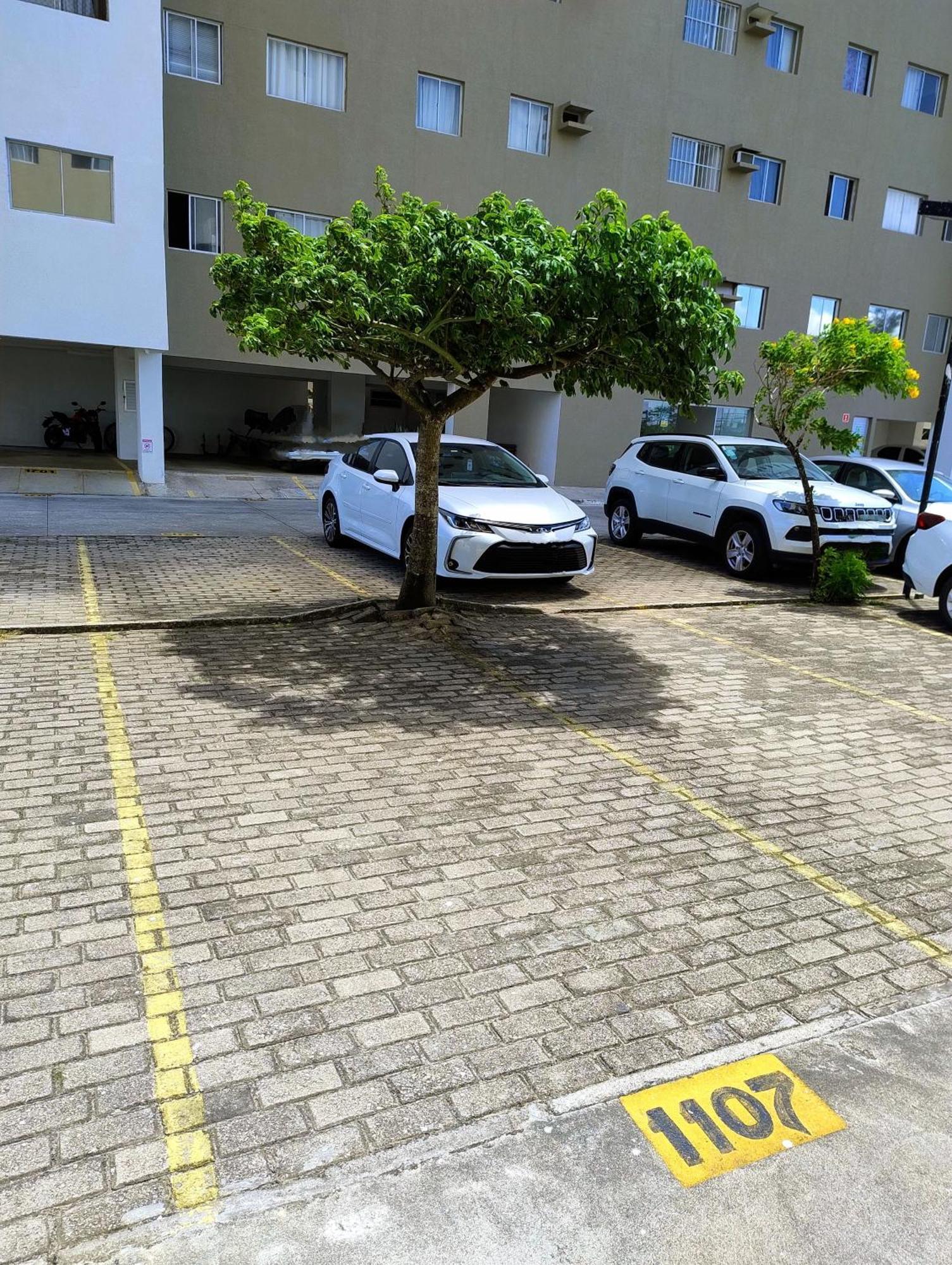 Queen L Ar Cond L Tvs Smart L Wi-Fi L Cozinha Completa L Garagem Maceió Eksteriør billede